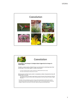 Coevolution Coevolution - CSE659: Computational Intelligence
