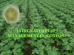 INTEGRATED PEST MANAGEMENT IN COTTON