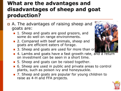 What Are The Advantages And Disadvantages Of Sheep And goat