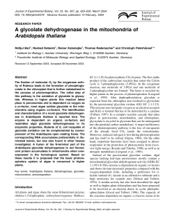 A glycolate dehydrogenase in the mitochondria of Arabidopsis