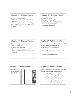 Chapter 17. Cilia and Flagella Chapter 17. Cilia and Flagella
