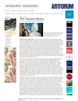 The Camera Blinks, David Salle on The Diving Bell and the Butterfly.