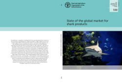 State of the global market for shark products