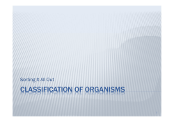 Classification Powerpoint [Compatibility Mode]