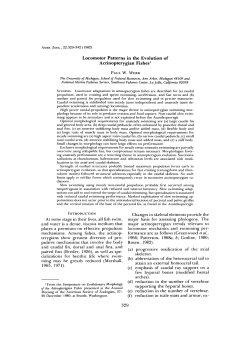 Locomotor Patterns in the Evolution of Actinopterygian Fishes`