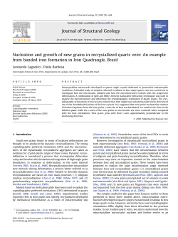 Nucleation and growth of new grains in recrystallized quartz vein: An