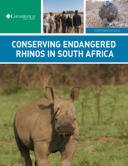 conserving endangered rhinos in south africa