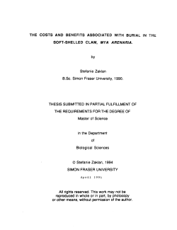 The costs and benefits associated with burial in the soft