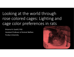 Looking at the world through rose colored cages: Lighting and cage