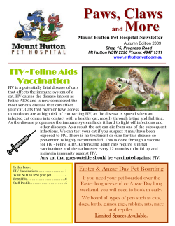 Autumn 2009 - Mount Hutton Pet Hospital