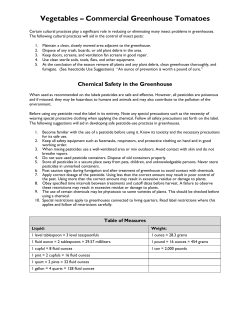 Vegetables – Commercial Greenhouse Tomatoes