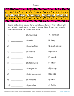 Collective Nouns | Noun Practice Worksheets