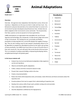 Animal Adaptations - Amazon Web Services