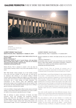 LAURENT GRASSO &laquo;Soleil Double&raquo; Galerie Perrotin, Paris / 6