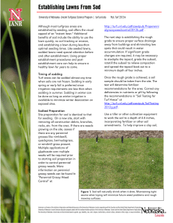 Establishing Lawns From Sod - UNL Turf