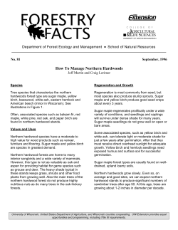 How To Manage Northern Hardwoods - UW