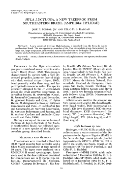 hyla luctuosa, a new treefrog from southeastern brazil (amphibia