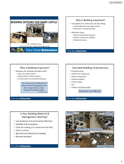 BEDDING OPTIONS FOR DAIRY CATTLE