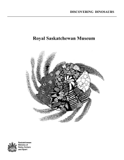 Discovering Dinosaurs - Royal Saskatchewan Museum