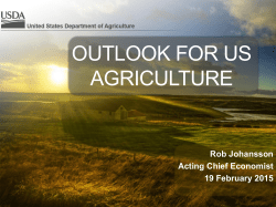 OUTLOOK FOR US AGRICULTURE