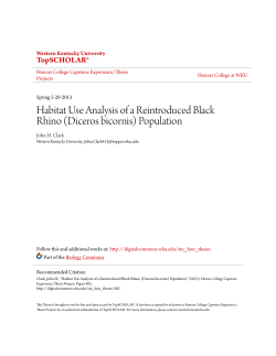 Habitat Use Analysis of a Reintroduced Black Rhino (Diceros bicornis)