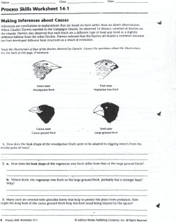 Process Skills Worksheet 14-1