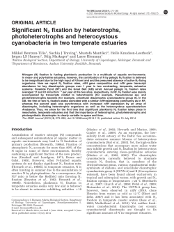 Significant N2 fixation by heterotrophs, photoheterotrophs