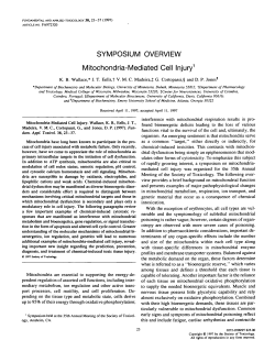 Mitochondria-Mediated Cell Injury