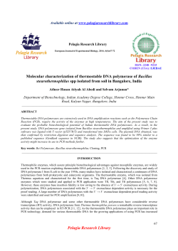 Molecular characterization of thermostable DNA polymerase of