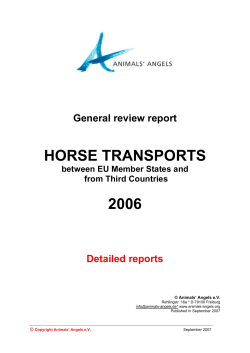 transport of horses from spain to italy