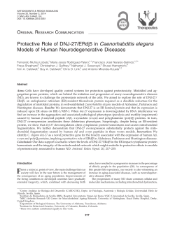 Protective Role of DNJ-27/ERdj5 in Caenorhabditis