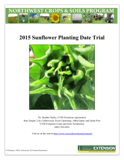 2015 Sunflower Planting Date Trial