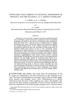 CYTOPLASMIC MALE STERILITY IN NICOTIANA