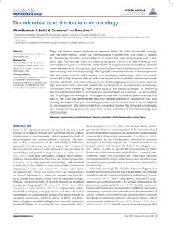 The microbial contribution to macroecology