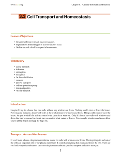 3.3 Cell Transport and Homeostasis