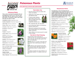 Poisonous Plants - Arizona Poison and Drug Information Center