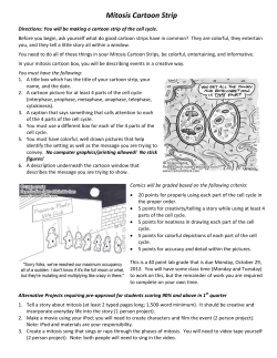 Mitosis Cartoon Strip Guidelines