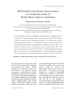 of incubation stage of