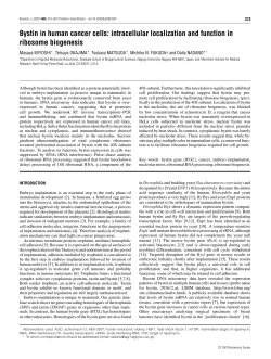 Bystin in human cancer cells: intracellular localization and function