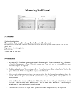 Measuring Snail Speed