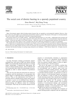 The social cost of district heating in a sparsely populated country