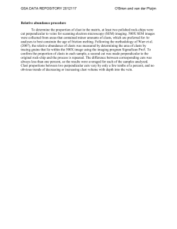 Relative abundance procedure To determine the proportion of clast