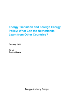 Energy Transition and Foreign Energy Policy: What Can the