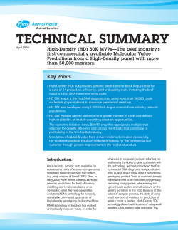 technical summary