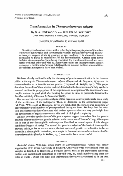 Transformation in Thermoactinomyces vulgaris