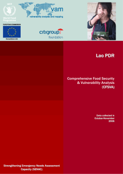 Lao PDR - WFP Remote Access Secure Services