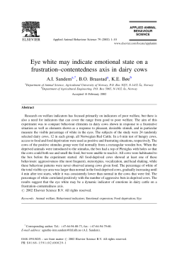 Eye white may indicate emotional state on a frustration