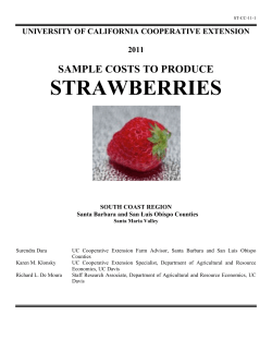 Sample Costs to Produce Strawberries