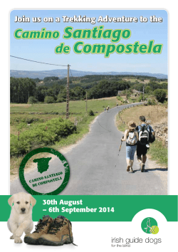 Camino Santiago de Compostela Camino Santiago de Compostela
