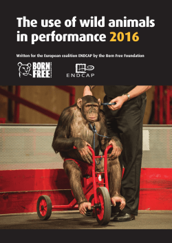 The use of wild animals in performance 2016
